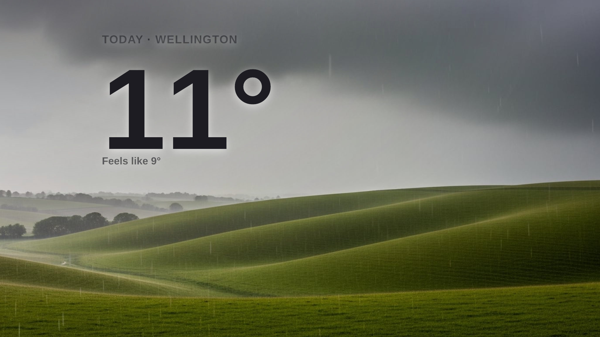 Heavy rain on the way for Wellington - here's your Friday forecast