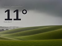 Wellington: heavy rain, high of 10°C on Friday
