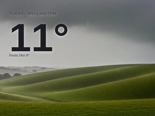 Wellington: heavy rain, high of 10°C on Friday