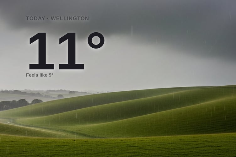 Wellington weather: heavy rain Friday with rain expected and a high of 10°C