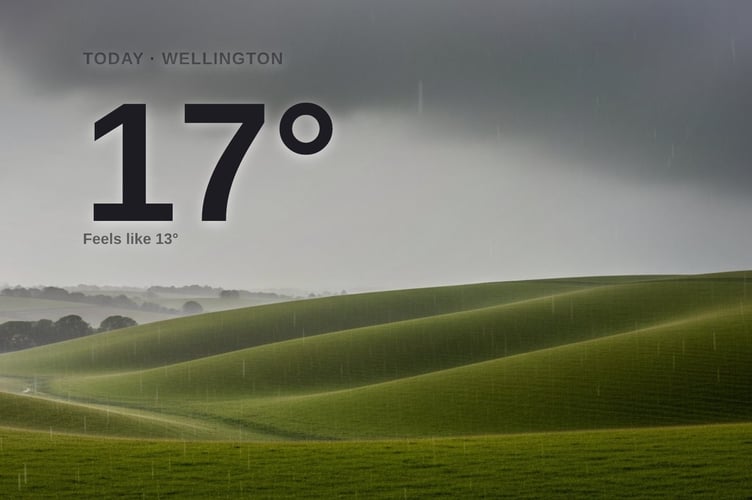 Wellington weather: heavy rain Monday with rain expected and a high of 16°C