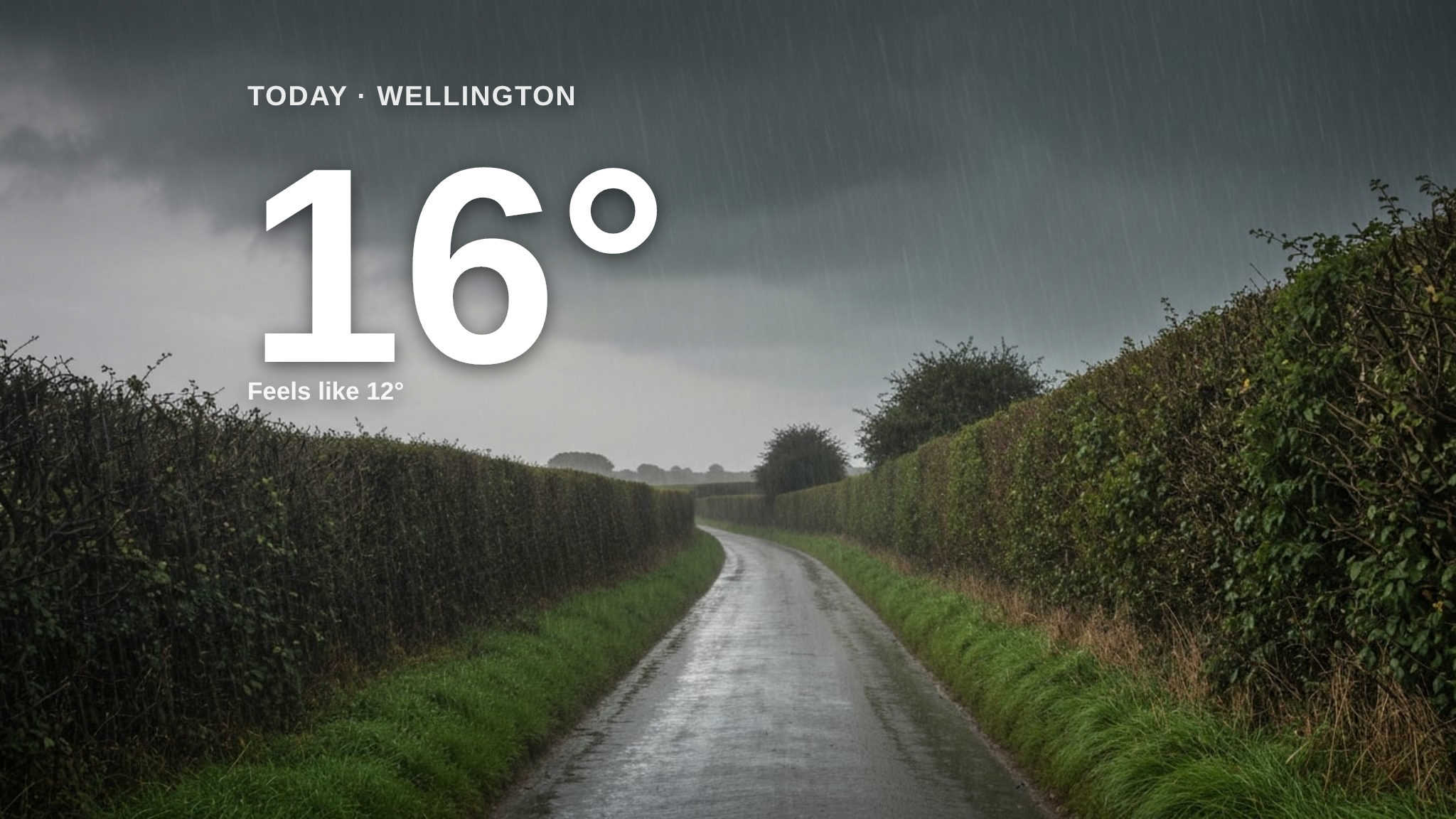 Heavy rain on the way for Wellington - here's your Saturday forecast