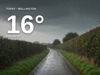 Wellington: heavy rain, high of 15°C