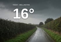 Heavy rain on the way for Wellington - here's your Saturday forecast