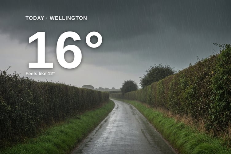 Wellington weather: heavy rain Saturday with rain expected and a high of 15°C