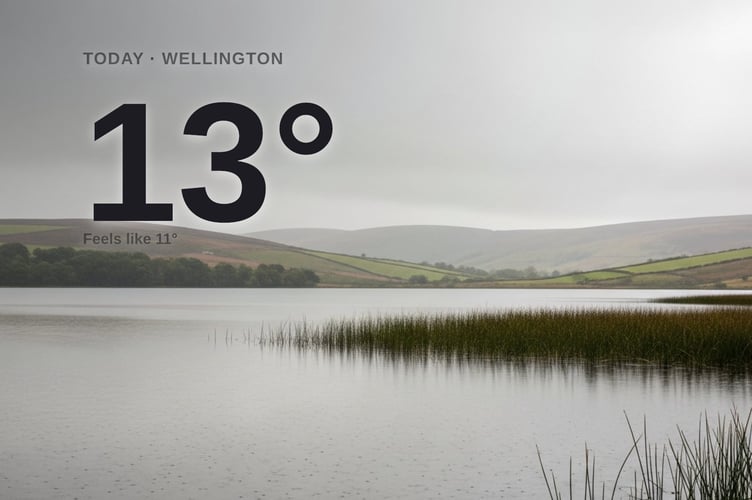 Wellington weather: cloudy Monday with rain expected and a high of around 13°C