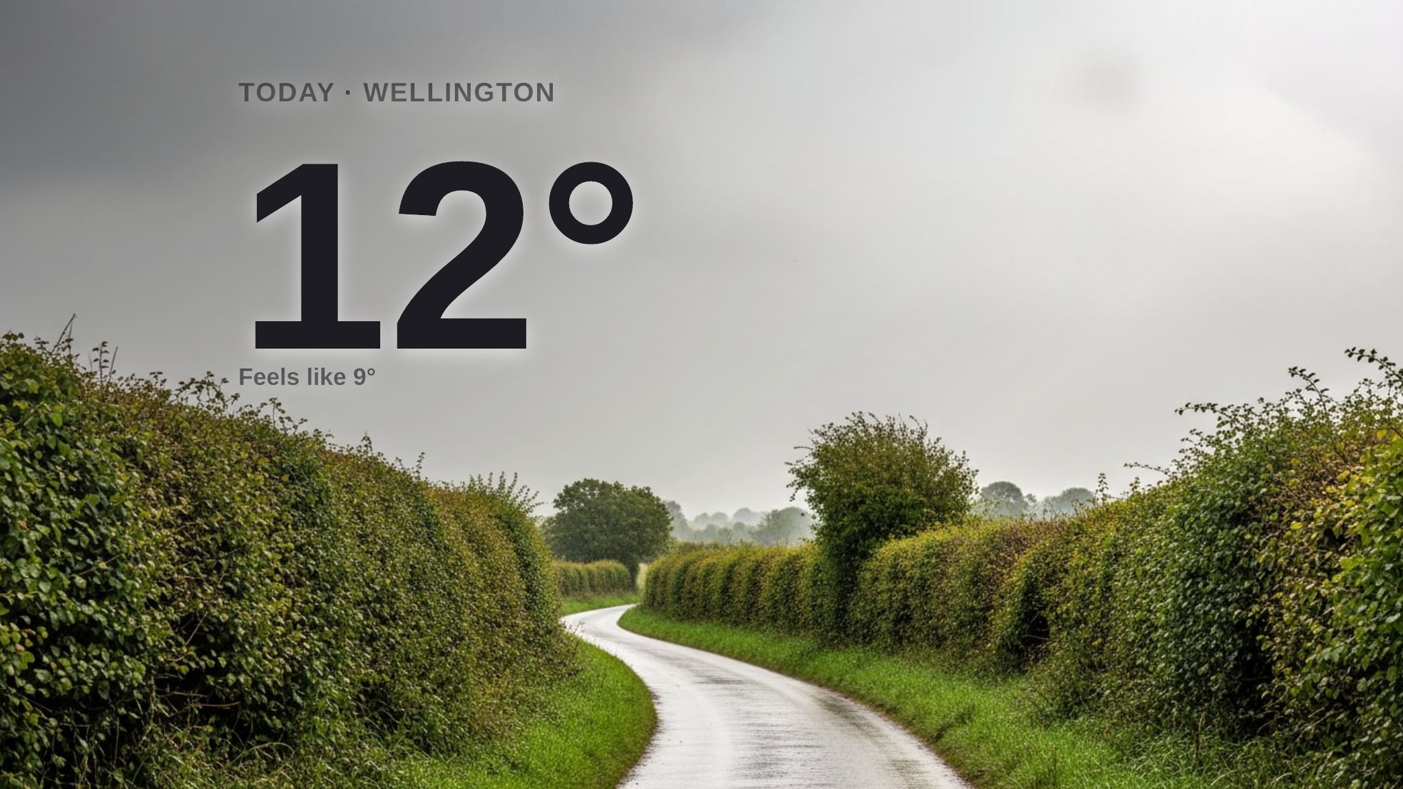 Rainy Wednesday for Wellington - here's your forecast