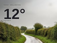 Wellington: rainy day, high of around 11°C
