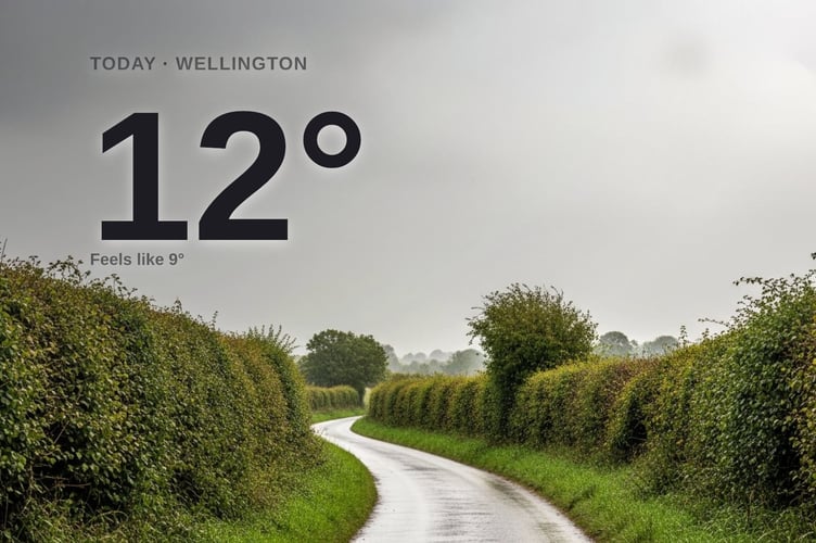 Wellington weather: rainy Wednesday with rain expected and a high of around 11°C