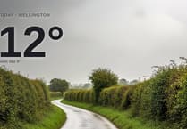 Rainy Wednesday for Wellington - here's your forecast