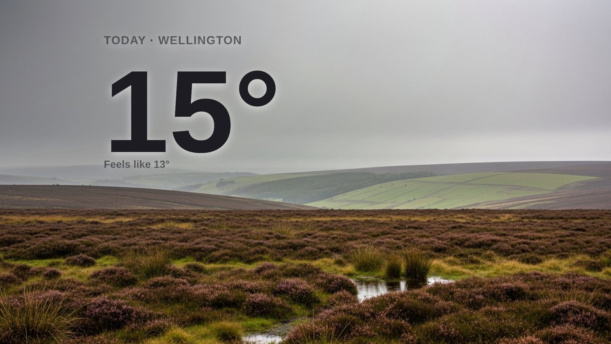 Rainy day for Wellington today - here's your Thursday forecast
