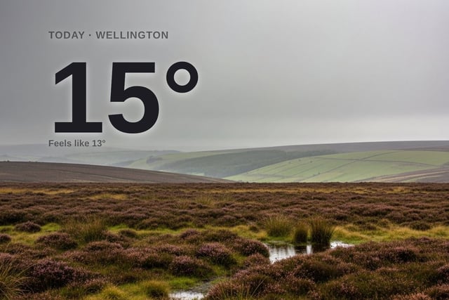 Wellington: rainy day, high of around 14°C