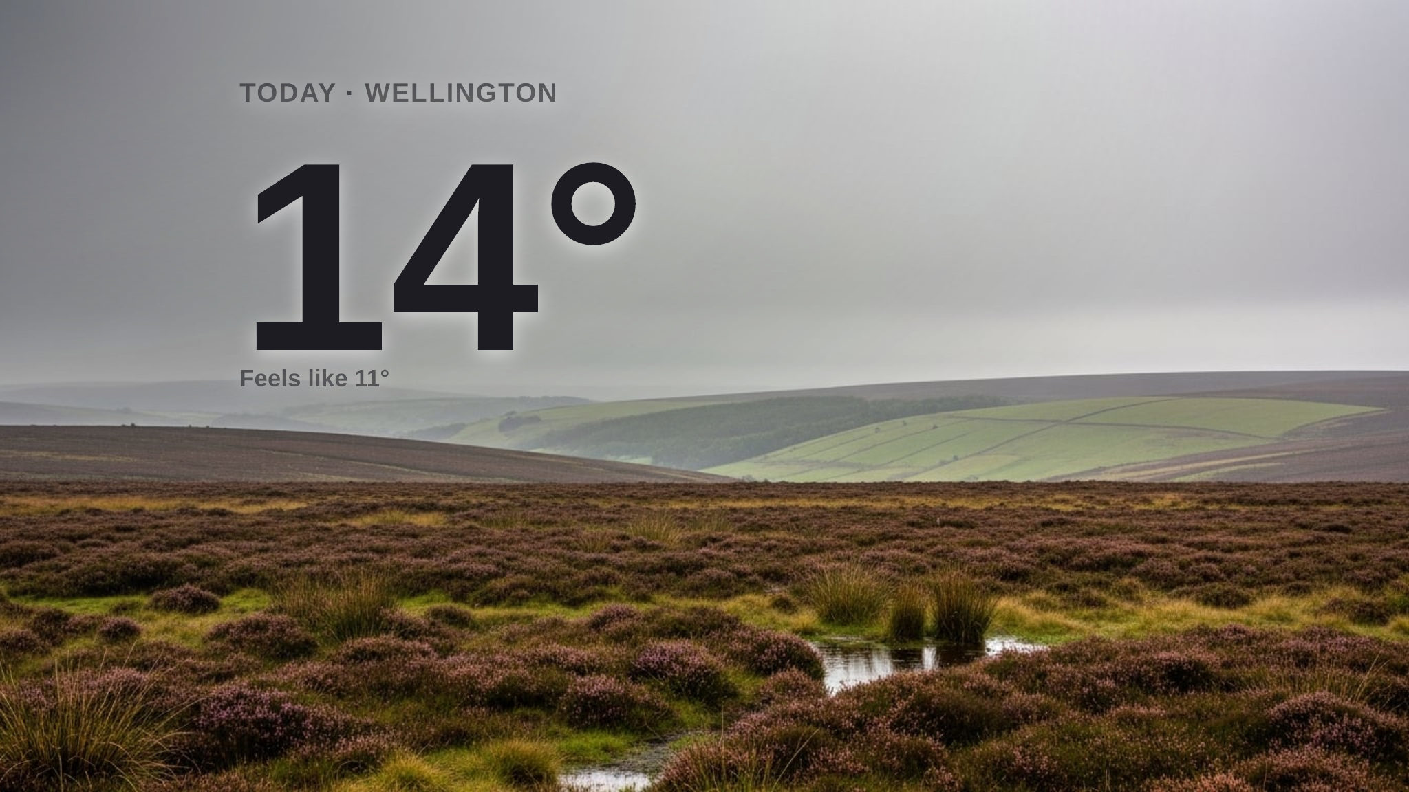 Rain on the way for Wellington today - here's your Tuesday forecast