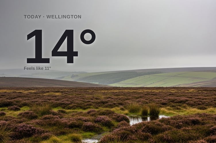 Wellington weather: cloudy Tuesday with rain expected and a high of 13°C