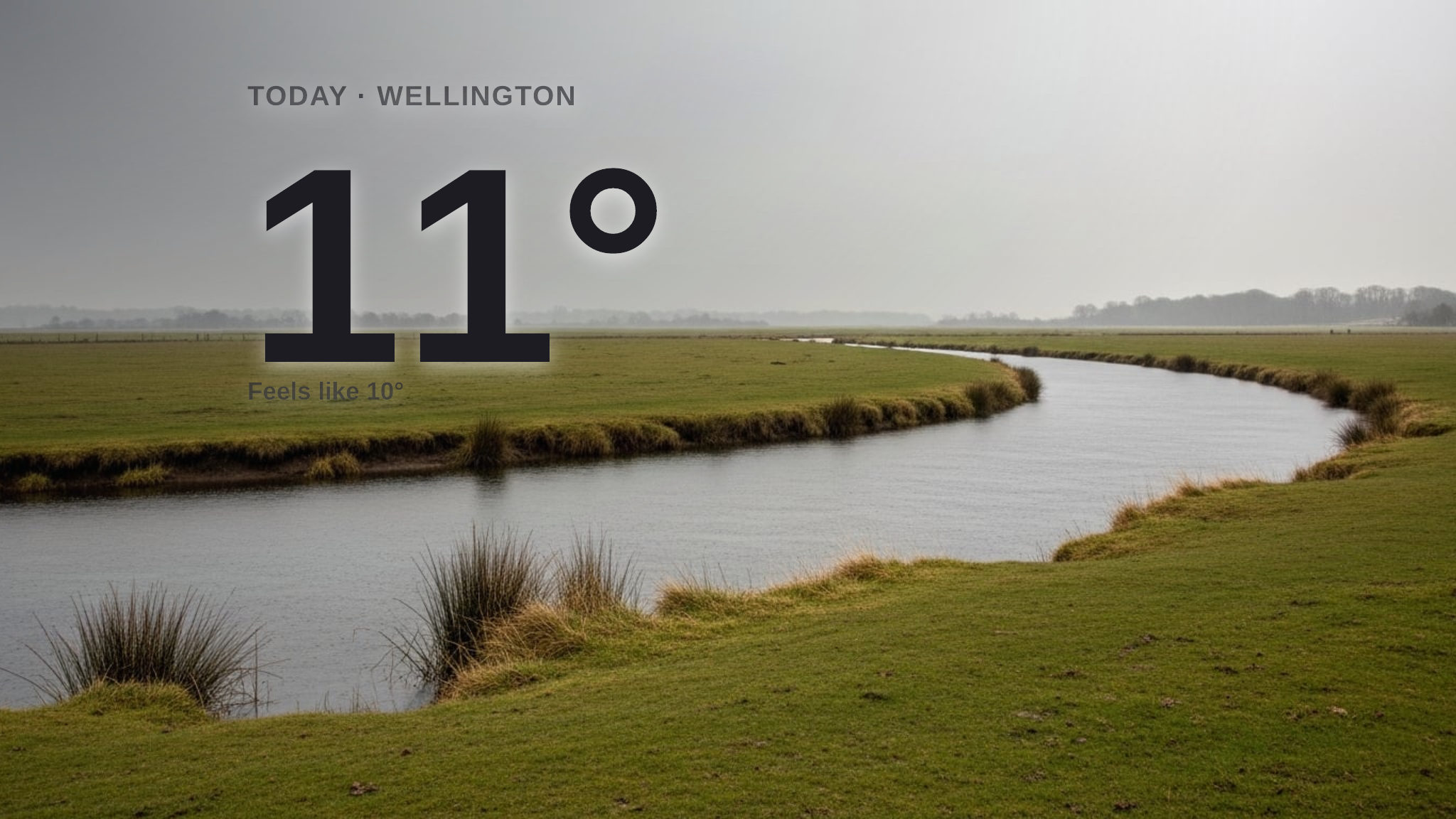 Rain on the way for Wellington today - here's your Tuesday forecast