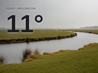 Wellington: cloudy day, high of 11°C