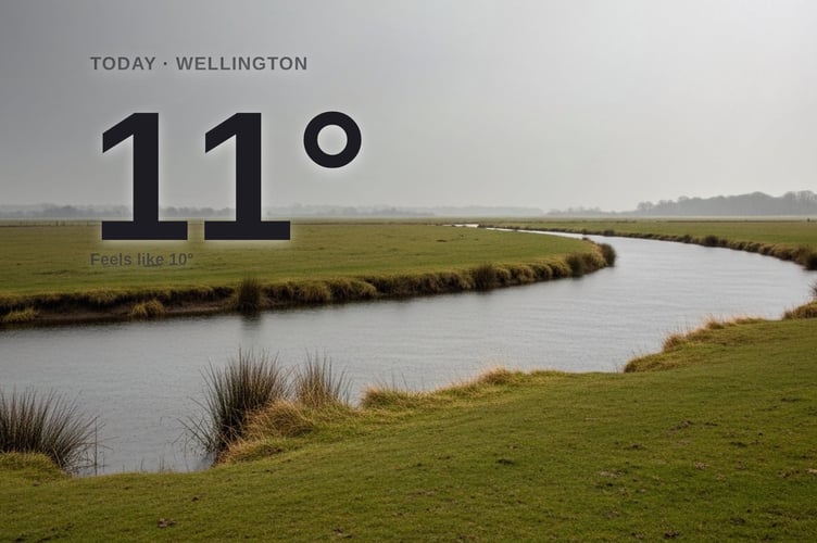Wellington weather: cloudy Tuesday with rain expected and a high of 11°C