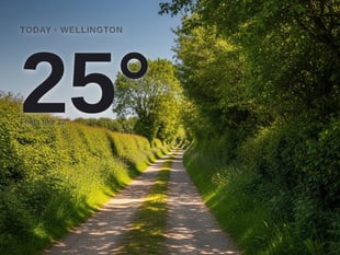 Wellington: sunny day, high of 25°C