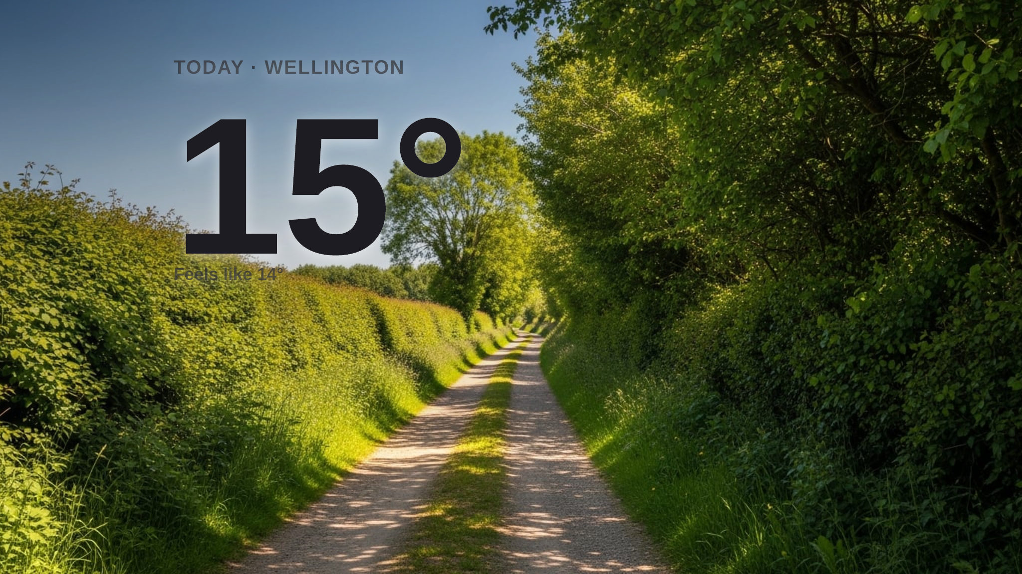 Sunshine and warmth for Wellington today - here's what to expect