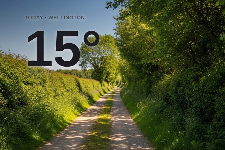 Wellington weather: sunny Friday with little chance of rain and a high of 15°C