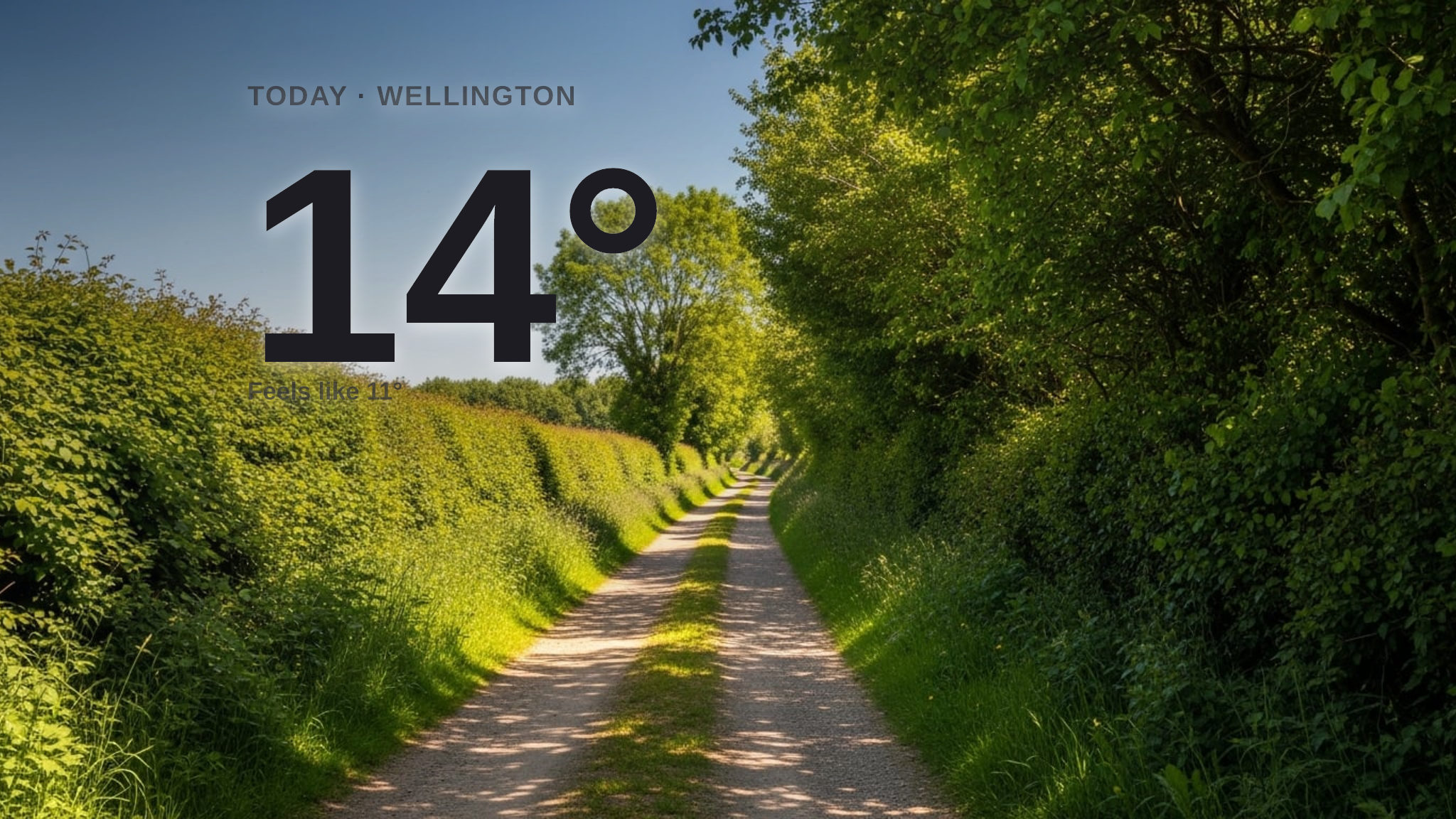 Sunshine for Wellington today - here's what to expect