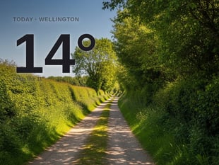 Wellington: sunny day, high of 13°C