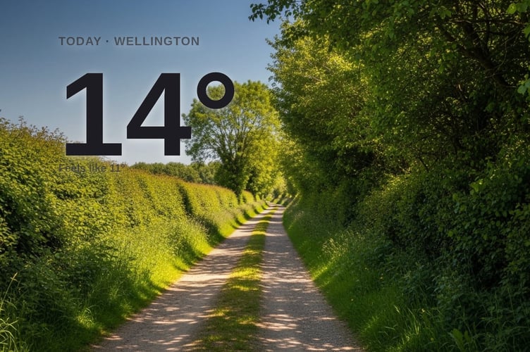 Wellington weather: sunny Saturday with little chance of rain and a high of 13°C