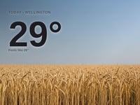 Wellington: sunny day, high of 29°C