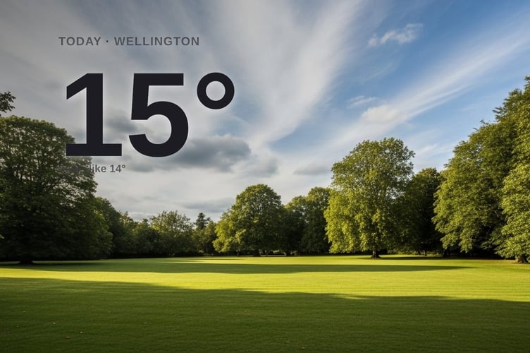 Wellington weather: partly cloudy Friday with little chance of rain and a high of 15°C